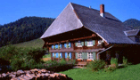 Hochschwarzwald